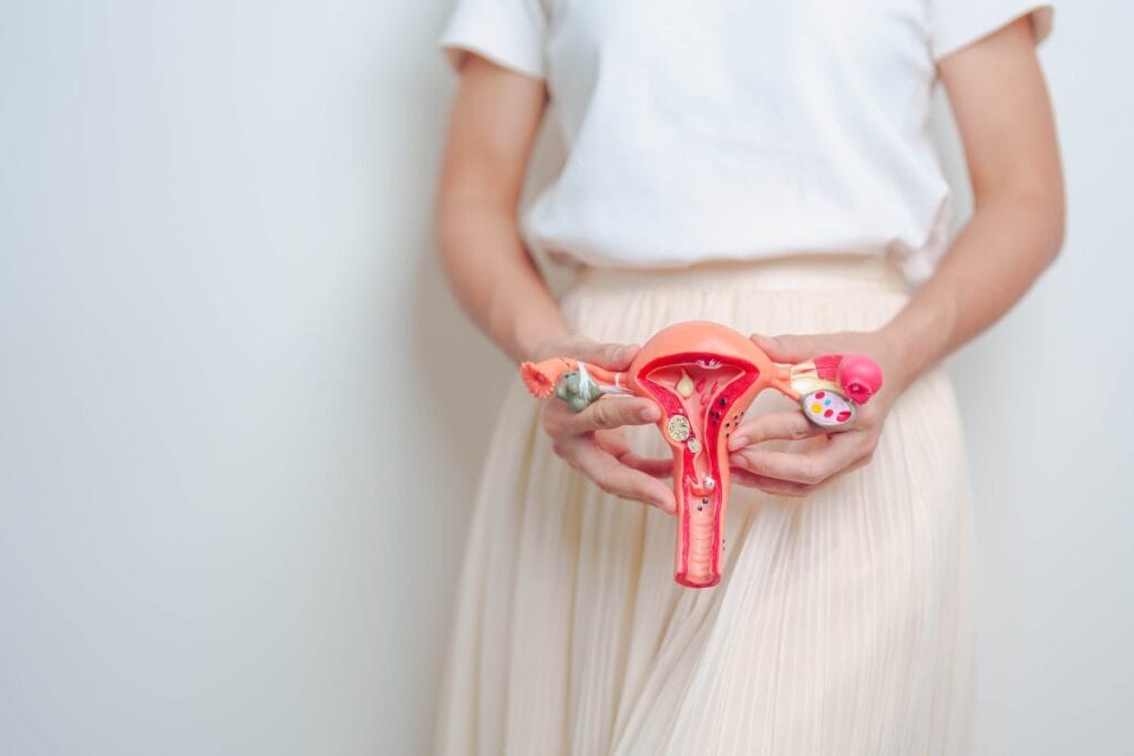 Endometriose. Saiba tudo sobre essa condição que impacta a vida de muitas mulheres!