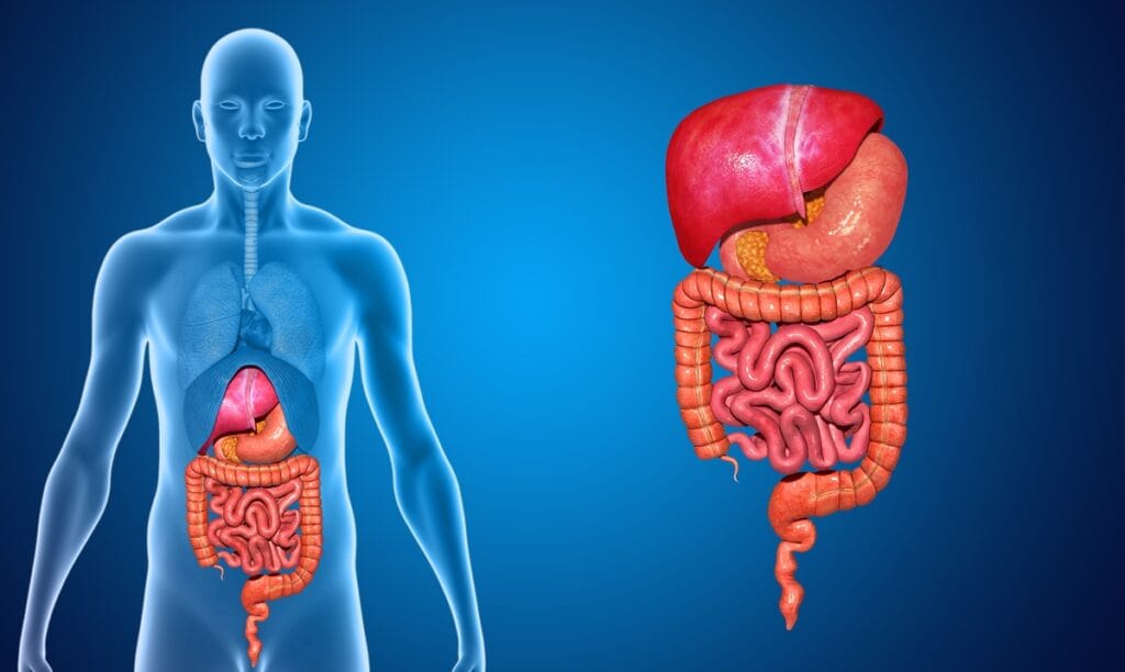 Cirurgia gastrointestinal: sinais que indicam quando procurar avaliação especializada.